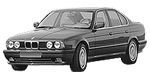 BMW E34 P3174 Fault Code